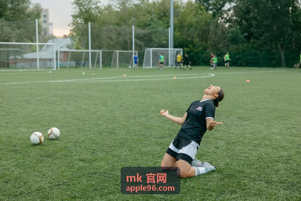 mk官网服务支持版本升级窗口与回滚预案